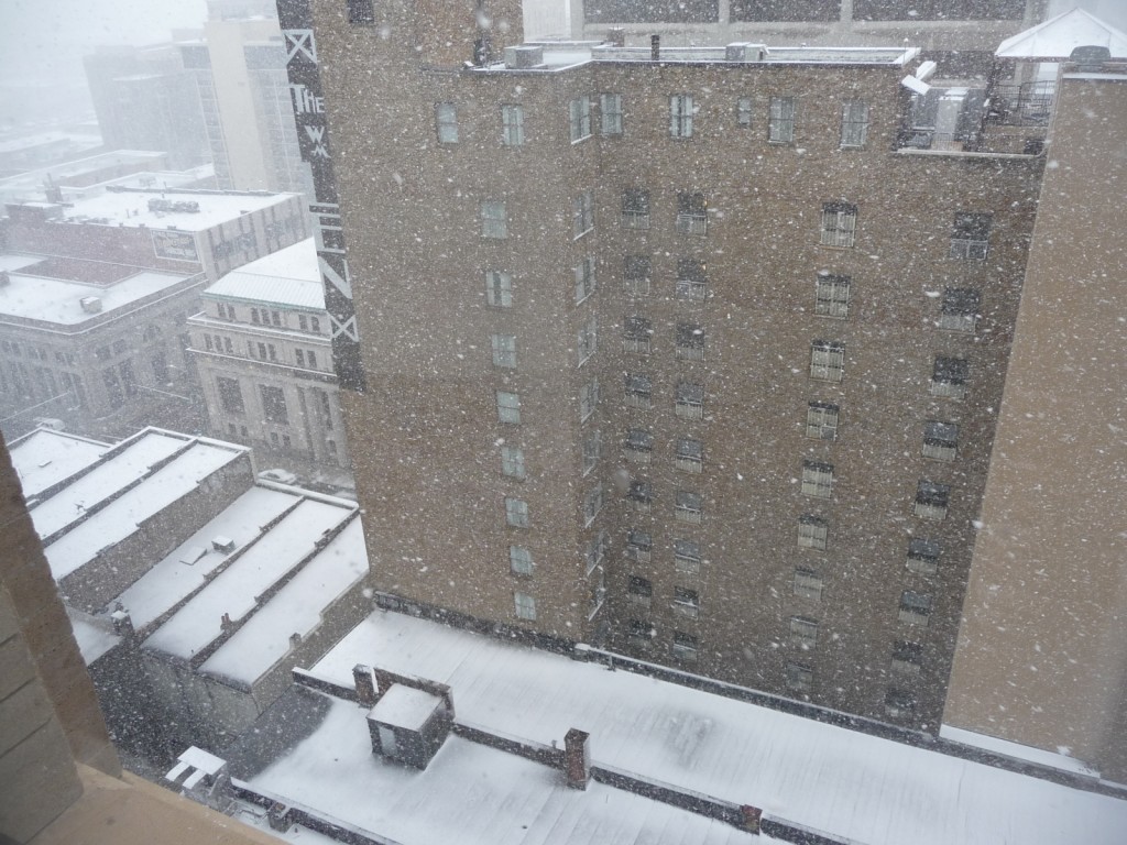 snow1