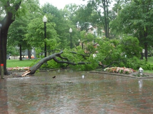 storm1