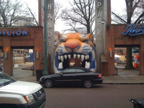 tiger